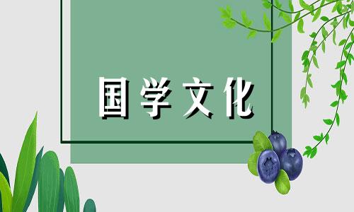 夏至节气的手抄报大全图片