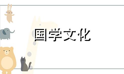 冬至吃饺子还是立冬吃饺子不冻耳朵