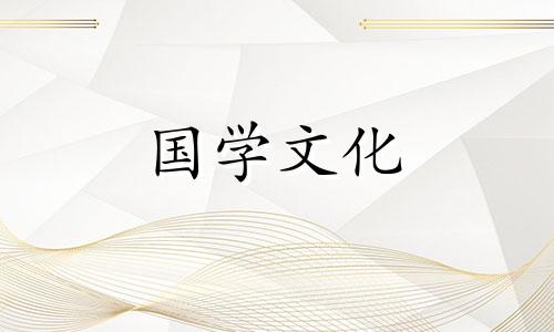 夏至节气吃什么食物好 夏至节气吃什么养生