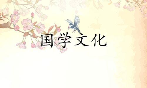 三伏天怎么养生吃什么好?