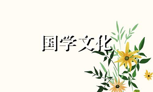 芒种气候特点,芒种是什么样的