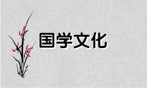 三伏天是养生最佳时期 三伏天养生的重点是什么