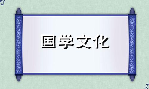 冬至吃什么馅儿的饺子? 冬至吃饺子什么馅好吃