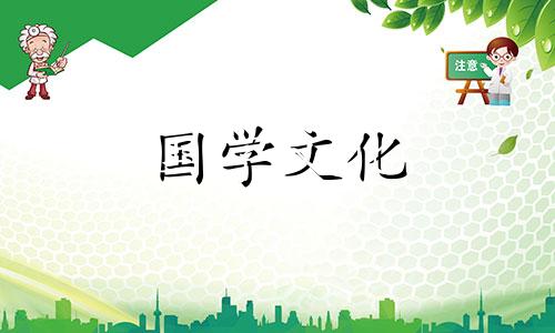 小雪节气吃什么最好,驱寒保暖食材排行榜