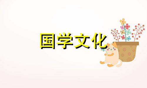 2021年财位摆放什么催旺运气好