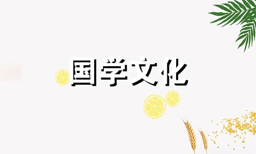 2020年农历腊月二十八日子好不好