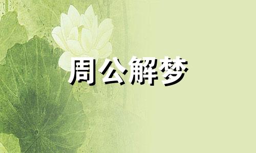 梦见蛇上身是什么寓意 梦见蛇上身要发大财解梦