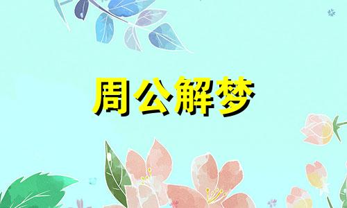 梦见猫头鹰是什么预兆 女性