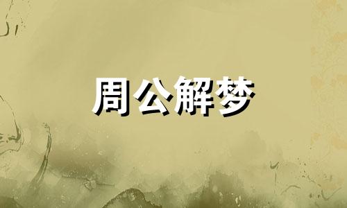 梦见怀抱兔子是什么预兆 梦到怀抱兔子