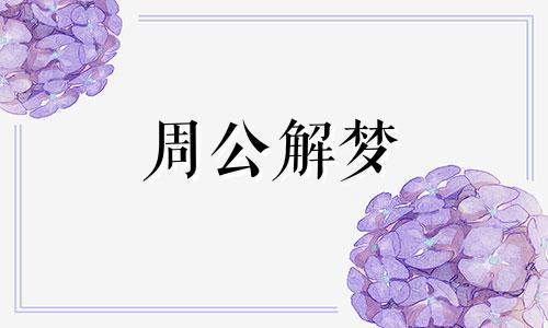 梦见白玫瑰预示着什么意思