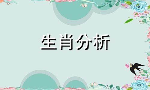 2024年2月9日属什么生肖 2024年02月29日