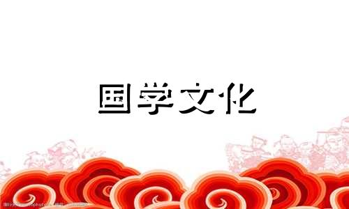 过年祝福语2024最火祝福语