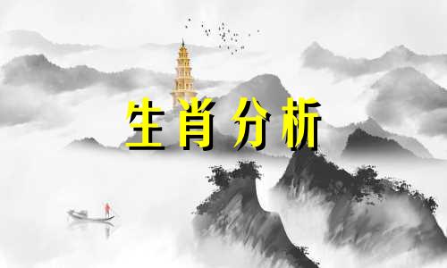 生肖运势测算2024年免费 生肖运势测算2024年每月运程