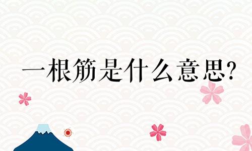 一根筋是什么意思? 一根筋的人性格特点