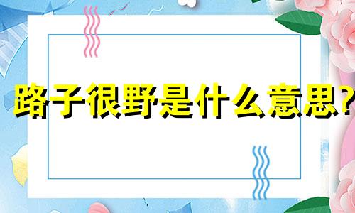 路子很野是什么意思? 路子野的人一般都不是好人