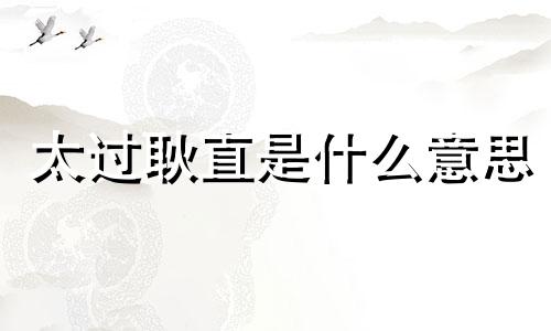 太过耿直是什么意思 太过耿直的性格例子