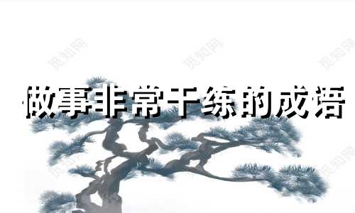 做事非常干练的成语 做事情很干练