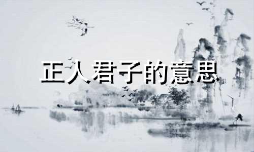 正人君子的意思 正人君子之国