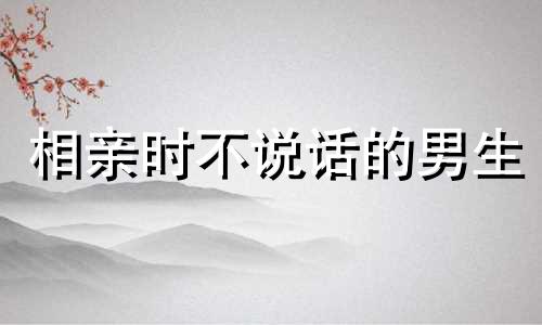 相亲时不说话的男生 相亲男不善言辞