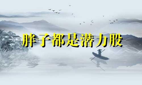 胖子都是潜力股 都是潜力股找出12个