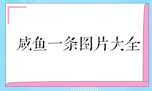 咸鱼一条图片大全 咸鱼一条下一句