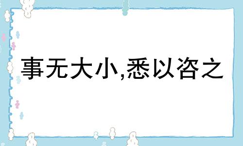 事无大小,悉以咨之 事无大小的意思