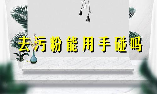 去污粉能用手碰吗 用去污粉可以刷牙吗