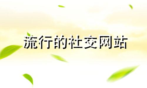 流行的社交网站 社交网站用户排行