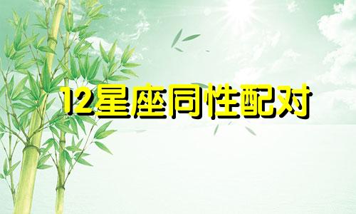 12星座同性配对 哪个星座同性恋