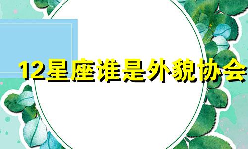 12星座谁是外貌协会 什么座是外貌协会