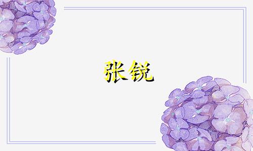 张锐 创业 张睿是什么星座