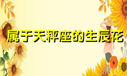 属于天秤座的生辰花 天秤座生日花是什么