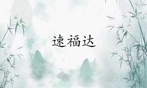 速福达 速悦音乐