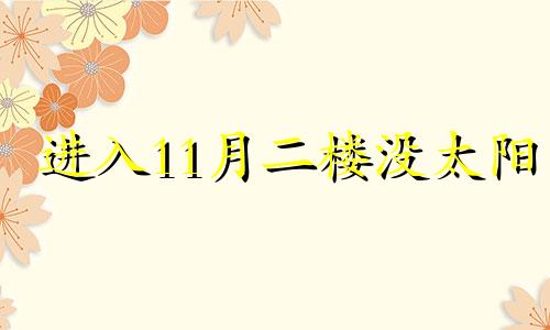 进入11月二楼没太阳 进入11月份天气渐渐寒冷