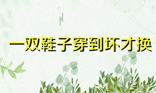 一双鞋子穿到坏才换 大家的鞋都是穿坏再扔吗