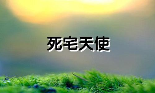 死宅天使 死宅是什么意思啊