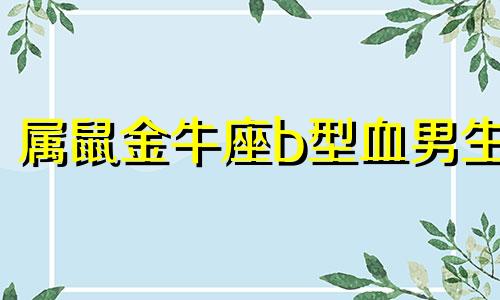 属鼠金牛座b型血男生 属鼠金牛座女全面解析