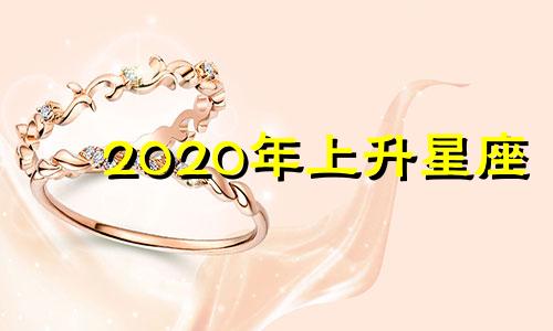 2020年上升星座 20020207上升星座