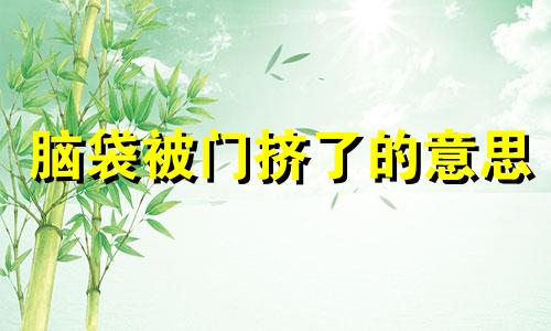 脑袋被门挤了的意思 