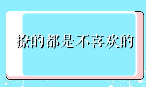 撩的都是不喜欢的 喜欢的都是小心翼翼的