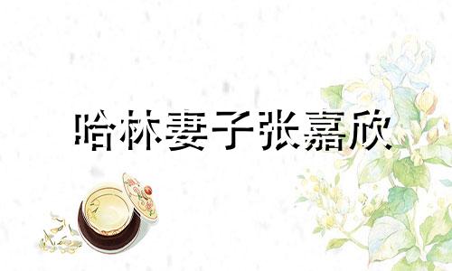 哈林妻子张嘉欣 歌星哈林