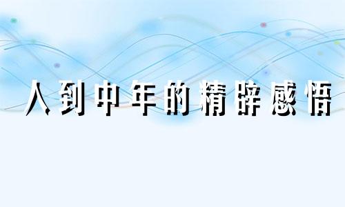 人到中年的精辟感悟 人到中年感悟人生的句子 经典