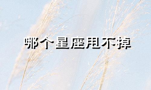 哪个星座甩不掉 