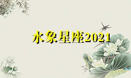 水象星座2021 水象星座女