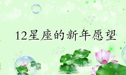 12星座的新年愿望 12星座怎么过春节