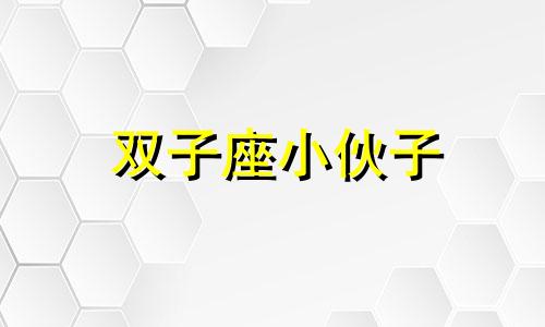 双子座小伙子 双子座友情配对星座