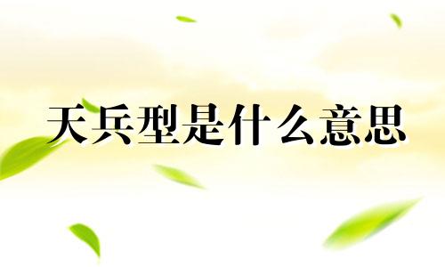 天兵型是什么意思 