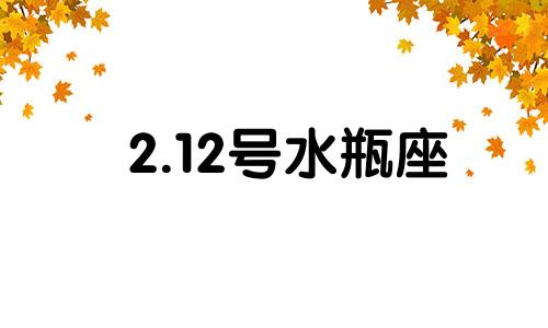 2.12号水瓶座 2月12日水瓶座性格