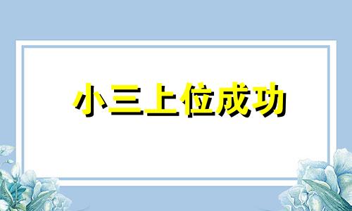 小三上位成功 上位成功什么意思