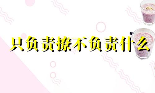 只负责撩不负责什么 只负责撩不负责